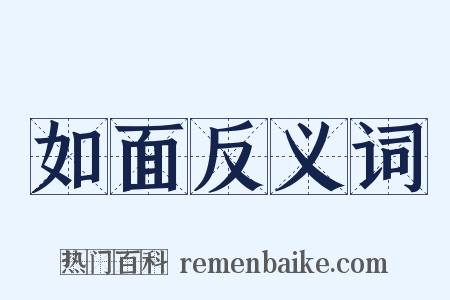如面反义词是什么意思的图片